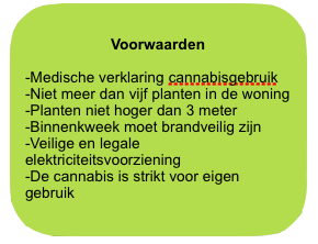 medicinale wiet in Tilburg toegestaan