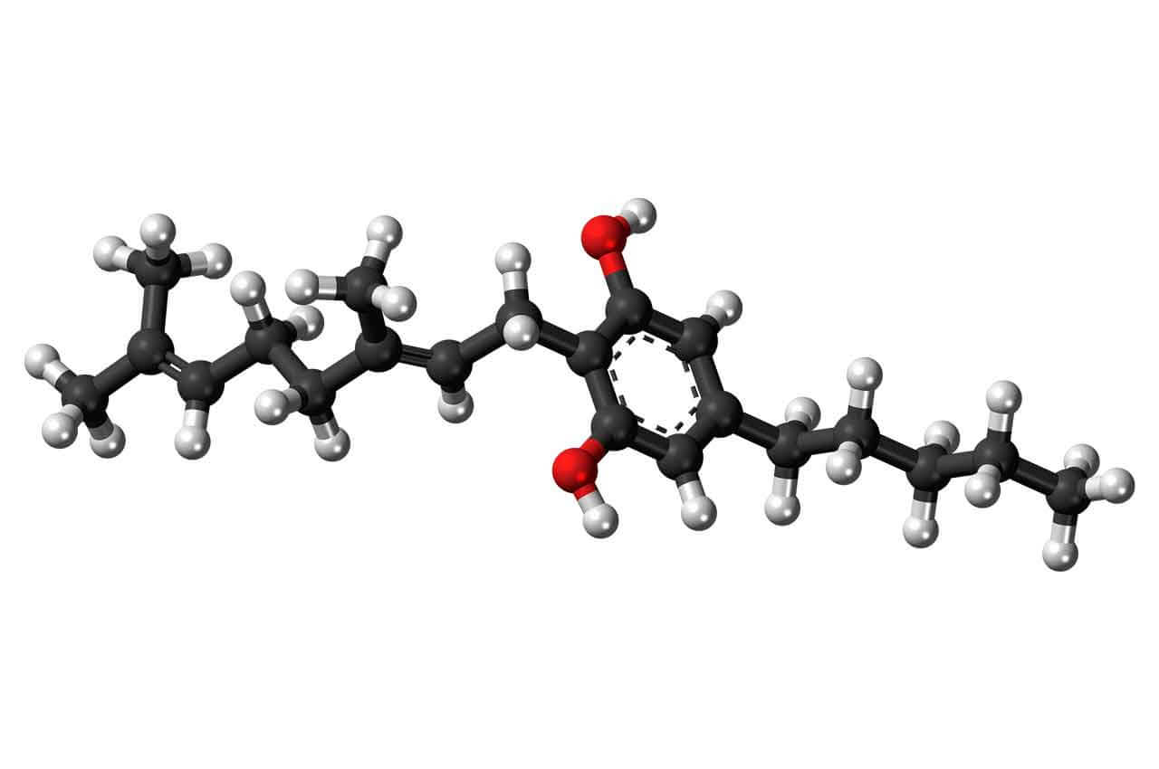 Wat is de cannabinoide cannabigerol?