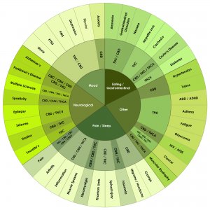 Cannabinoiden-Infographic-large1