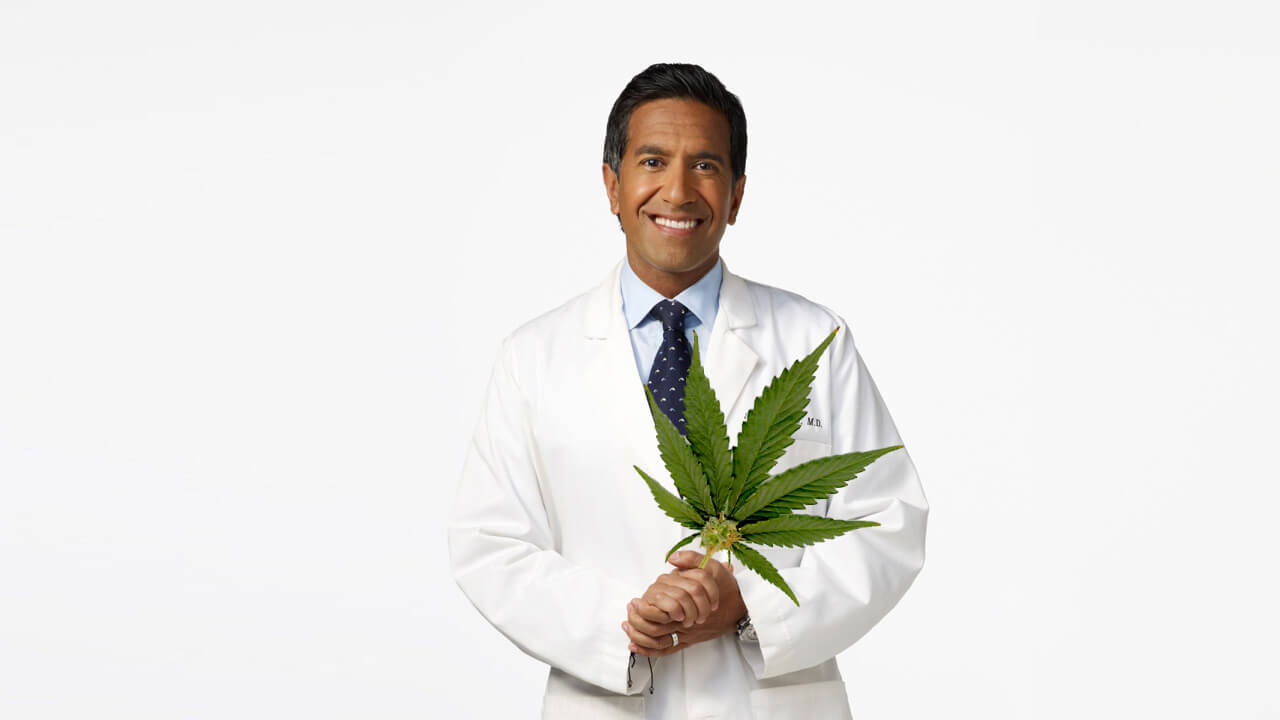cbd-is-niet-schadelijk