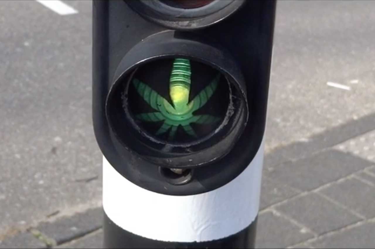 effect_cannabis_rijvaardigheid