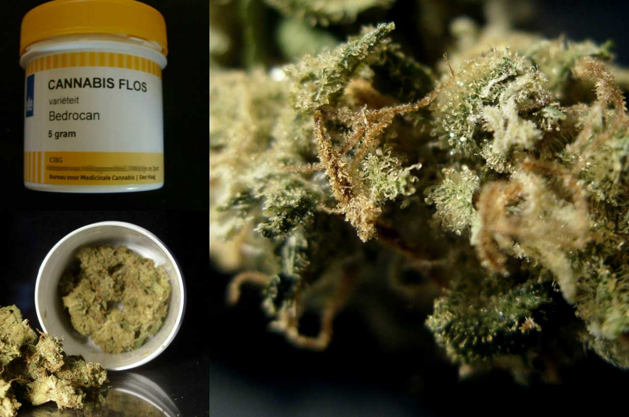 verschil wietolie cbd olie