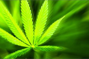 vaporizer medicinale wiet